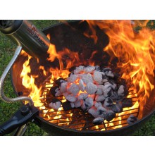 BBQ Dragon